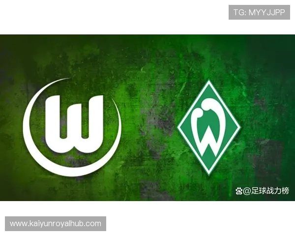 沃尔夫斯堡足球队阵容分析与球员特点深度解析