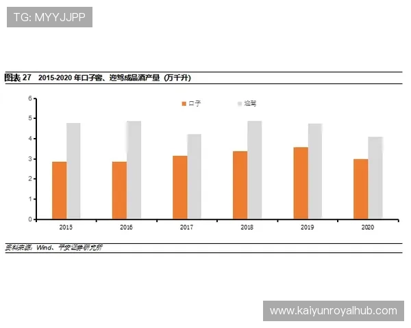 季后赛复盘约基奇高位策应撕裂联防体系的进攻艺术深度全面解析